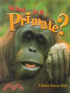 What Is a Primate?