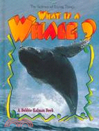 What Is a Whale?