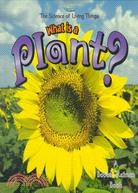 What Is a Plant?