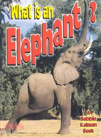 What Is an Elephant?