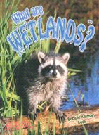 What Are Wetlands?