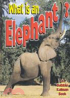 What Is an Elephant?