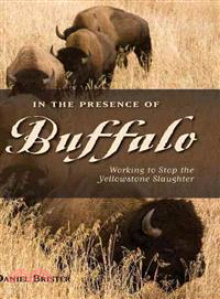 In the Presence of Buffalo ― Working to Stop the Yellowstone Slaughter