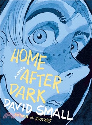 Home After Dark : A Novel