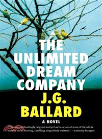 The Unlimited Dream Company