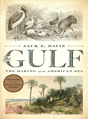 The Gulf :the making of an American sea /