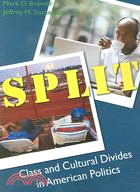 Split: Class And Cultural Divides in American Politics