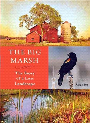 The Big Marsh ― The Story of a Lost Landscape