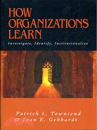 HOW ORGANIZATIONS LEARN