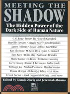 Meeting the Shadow ─ The Hidden Power of the Dark Side of Human Nature