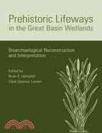 Prehistoric Lifeways in the Great Basin Wetlands: Bioarchaeologial Reconstruction and Interpretation