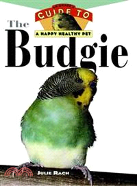 Budgie: An Owner\