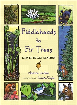 Fiddleheads to Fir Trees ─ Leaves in All Seasons