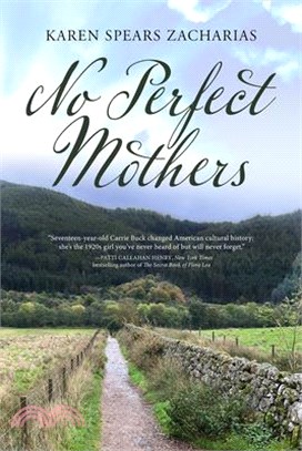 No Perfect Mothers