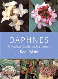 Daphnes—A Practical Guide for Gardeners