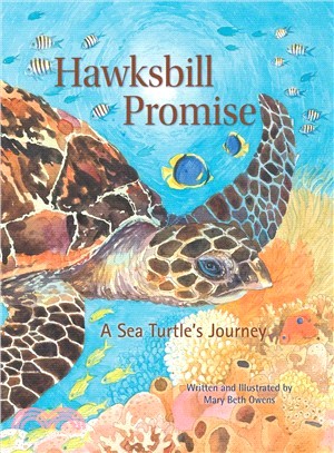 Hawksbill Promise ― The Journey of an Endangered Sea Turtle