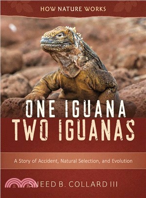One Iguana, Two Iguanas ― A Story of Accident, Natural Selection, and Evolution