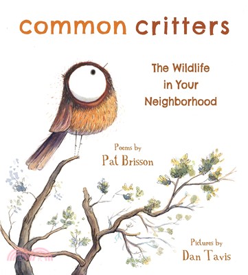 Common Critters ― The Wildlife in Your Neighborhood