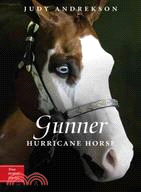 Gunner ─ Hurricane Horse