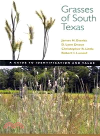 Grasses of South Texas