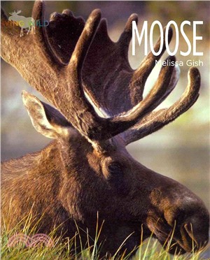 Moose