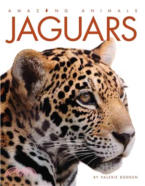 Jaguars /