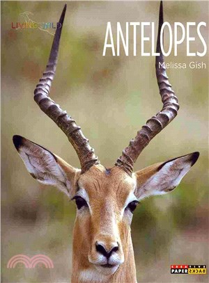 Antelopes