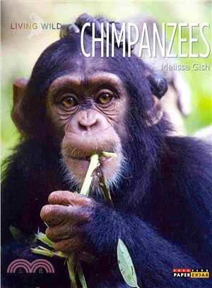 Chimpanzees