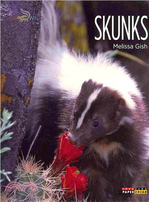Skunks