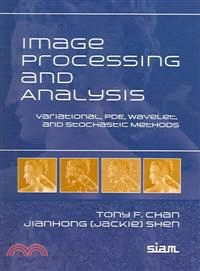 Image Processing and Analysis：Variational, PDE, Wavelet, and Stochastic Methods