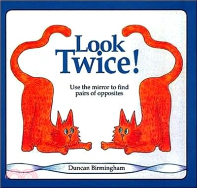 Look Twice：Use the Mirror to Find Pairs of Opposites