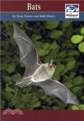 Bats