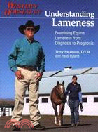 Understanding Lameness ─ Examining Equine Lameness from Diagnosis to Prognosis