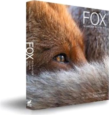 Fox：Neighbour Villain Icon