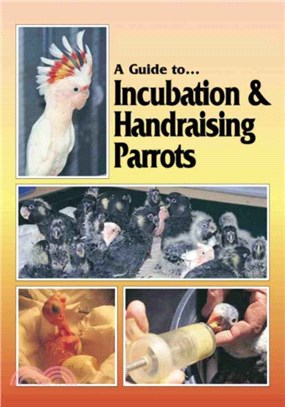 Incubation and Handraising Parrots