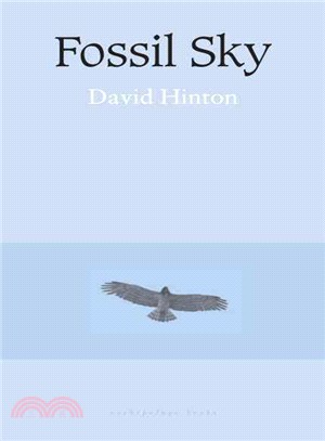 Fossil Sky