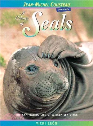 A Colony of Seals ― The Captivating Life of a Deep Sea Diver