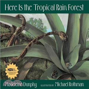 Here is the tropical rain forest
