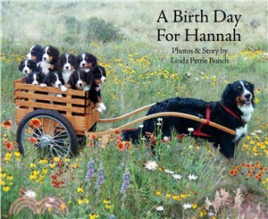 A Birth Day for Hannah