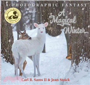 A Magical Winter ─ A Photographic Fantasy