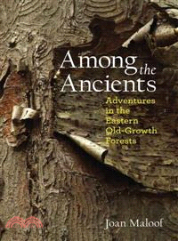 Among the Ancients ─ Adventures in the Eastern Old-Growth Forests