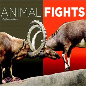 Animal fights /