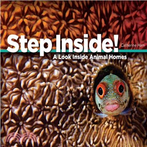 Step Inside! ─ A Look Inside Animal Homes