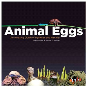 Animal eggs :an amazing clut...