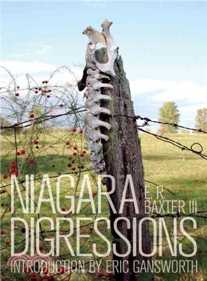 Niagara Digressions