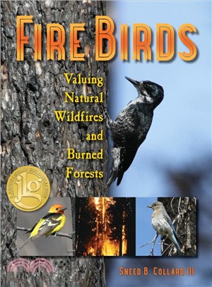Fire Birds ─ Valuing Natural Wildfires and Burned Forests