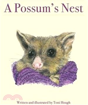 A Possum's Nest