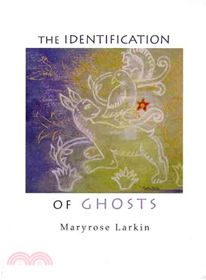 The Identification of Ghosts