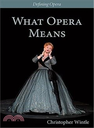 What Opera Means ― Categories and Case-studies