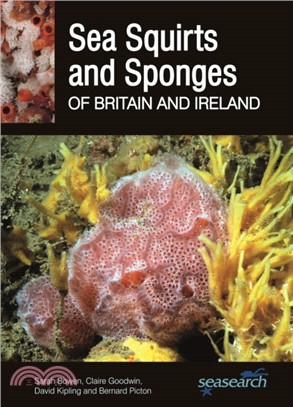 Sea Squirts and Sea Sponges of Britain and Ireland